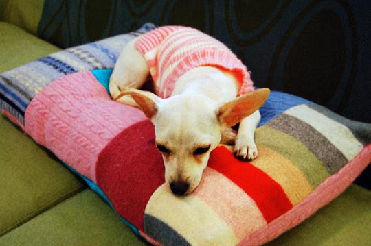Pet pillow from recycled sweaters free sewing tutorial