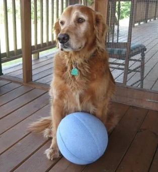 Dog toy ball from blue jeans tutorial